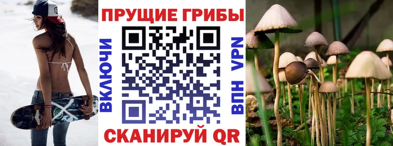 Галлюциногенные грибы мухоморы  Биробиджан 